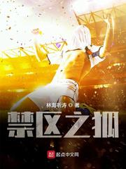 禁区之狐免费阅读全文无弹窗