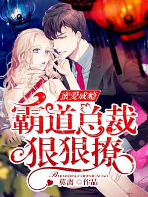 霸道总裁蜜宠甜妻小说